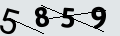 verifycode